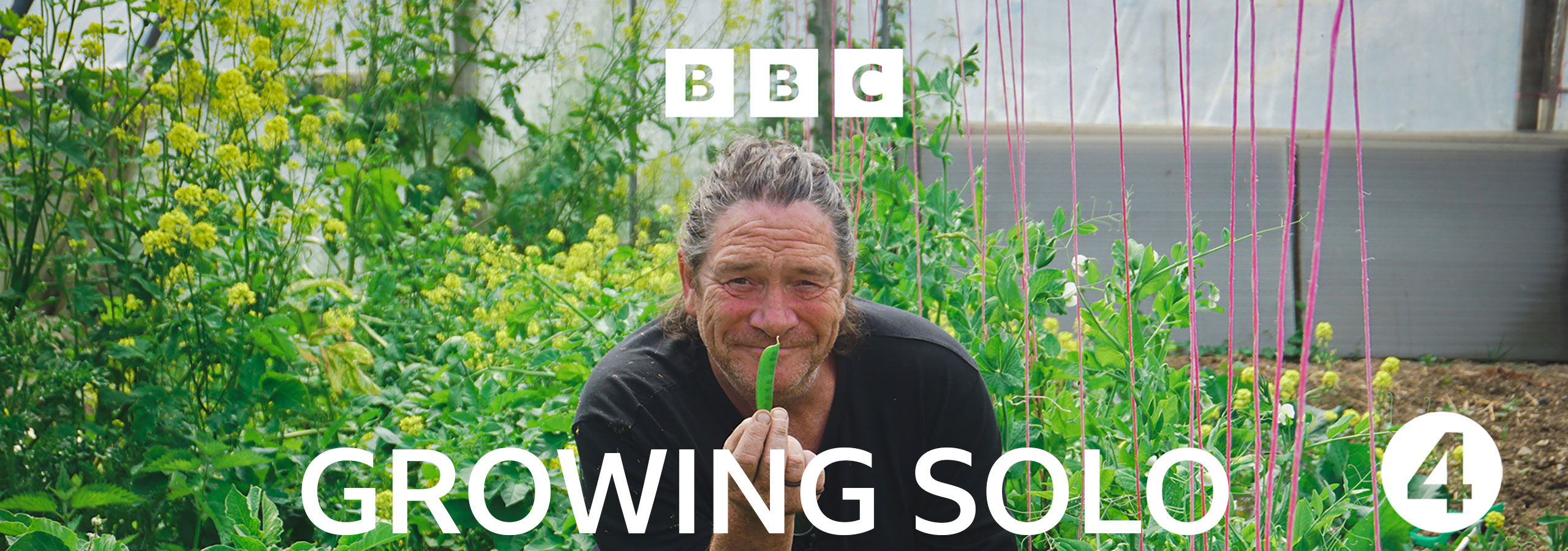 Good Egg Productions Growing Solo BBC Radio 4